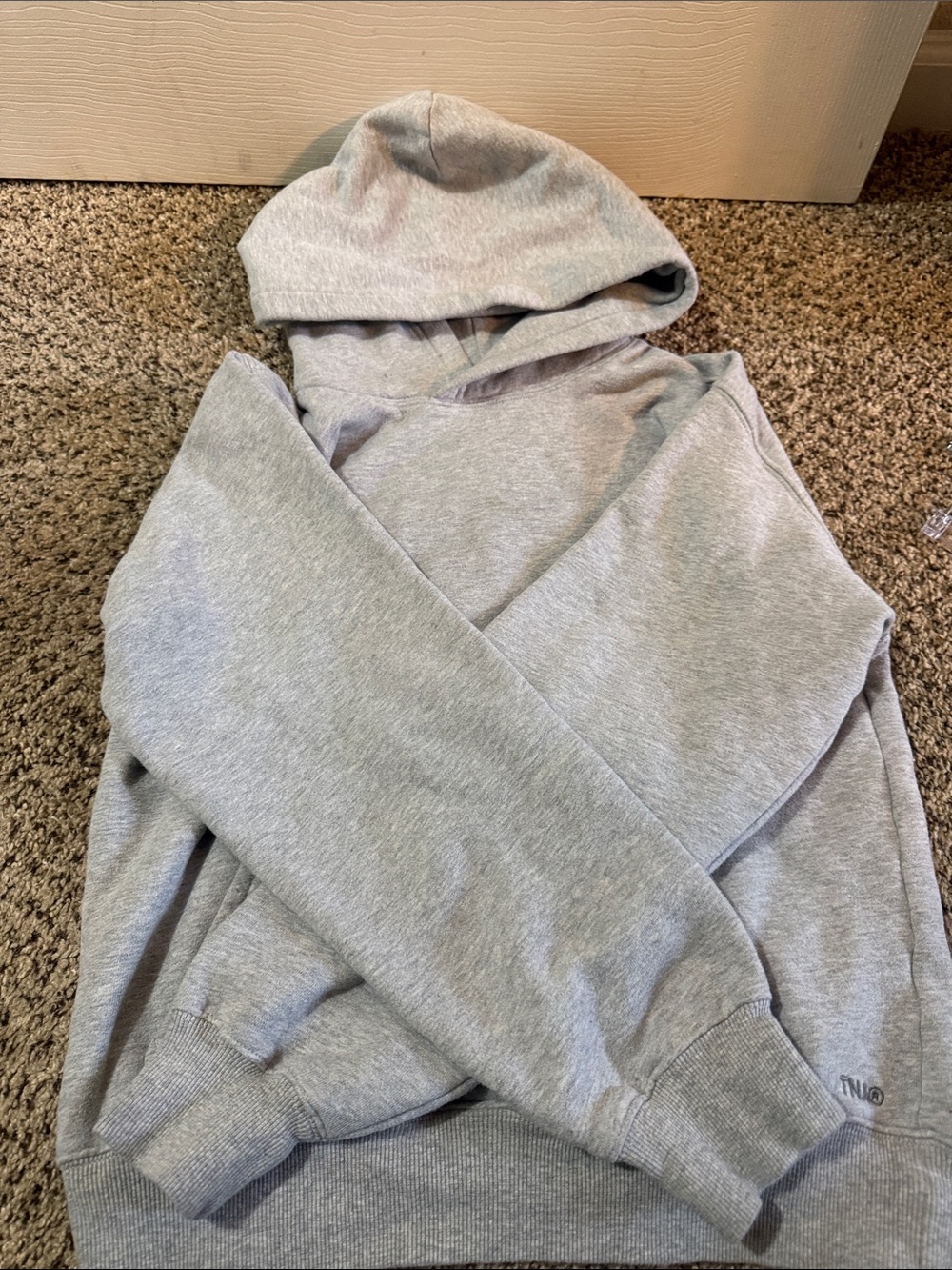 Aritzia TNA Cozy Fleece Hoodie Heather Gray Size Small Sweatfleece